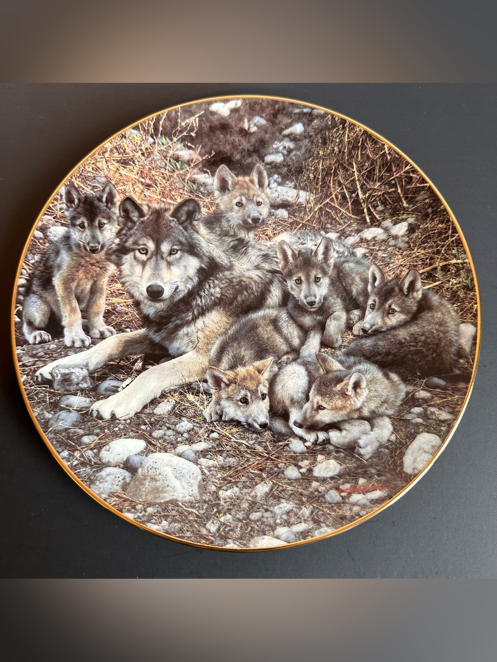 1994 Limited-Edition Collector Plate Titled "Den Mother"/Carl Brenders